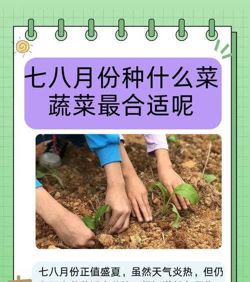 哪些常见植物适合食用？如何安全地进行家庭种植？