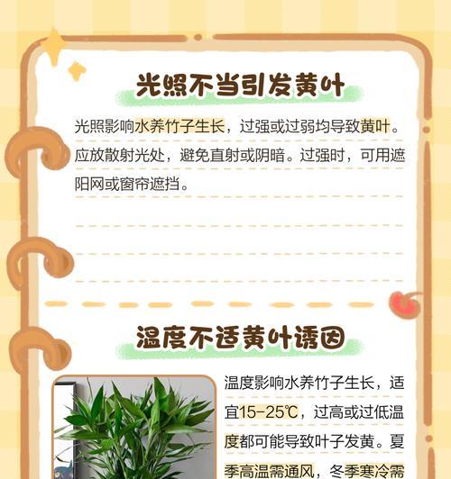 水养竹子的正确方法是什么？如何保持水养竹子的健康？