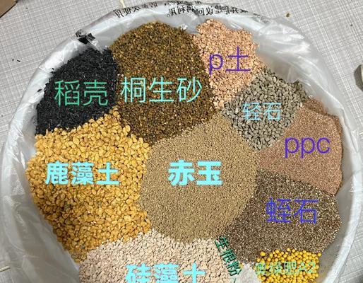 生石花种植方法和注意事项是什么？