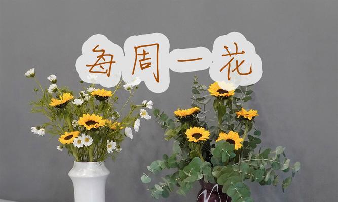 家居插花有哪些技巧？如何用插花进行室内装饰？