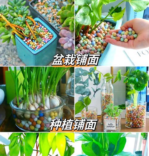 陶粒铺面在养花中有哪些好处？如何正确使用陶粒铺面？