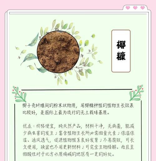 多肉佛珠用什么土？如何选择合适的土壤？