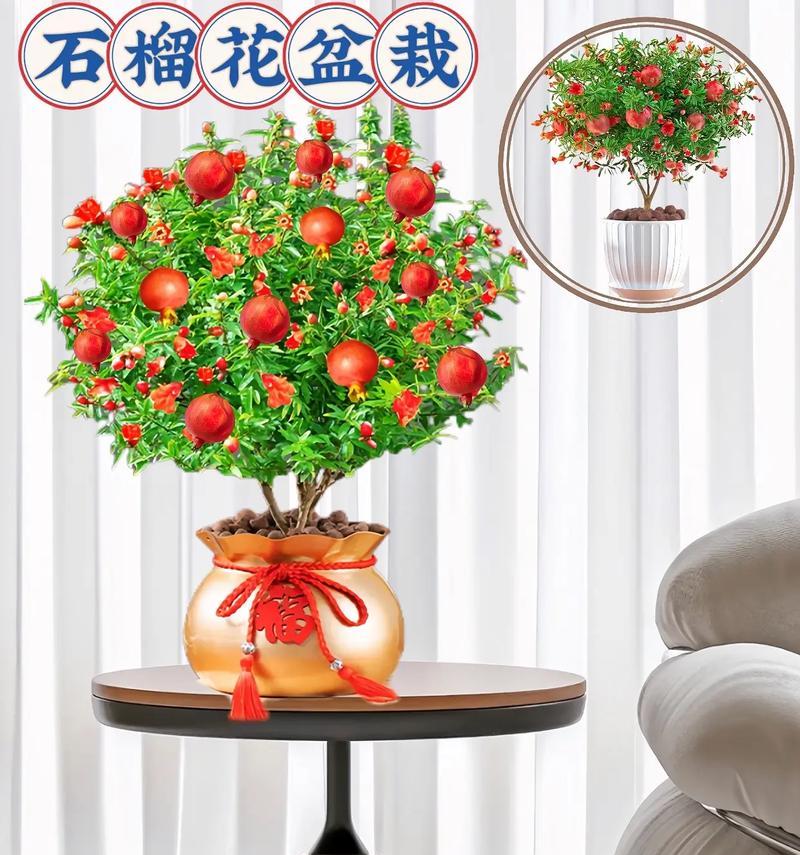 石榴花怎么养殖方法?有哪些有效的养殖技巧?