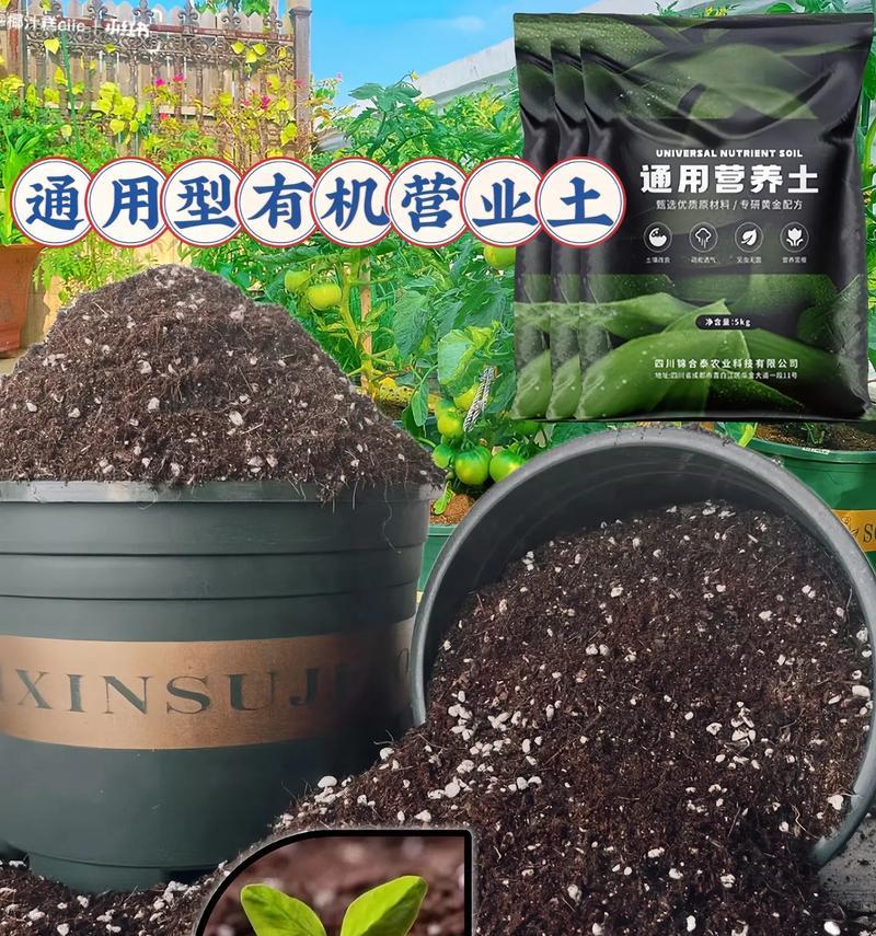 花土的制作方法有哪些？如何制作适合植物生长的花土？