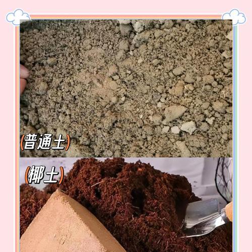花土的制作方法有哪些？如何制作适合植物生长的花土？