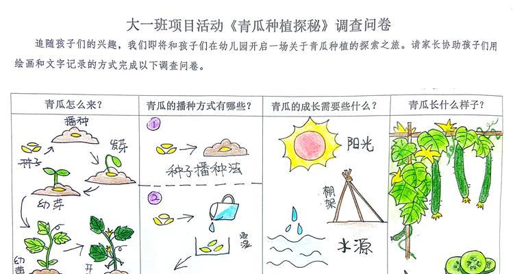 青草卡通盆栽的种植步骤是什么?种植后如何管理?