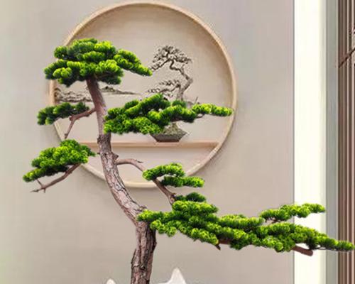 走廊玄关适合摆放哪种盆景？迎客松盆景的摆放技巧是什么？