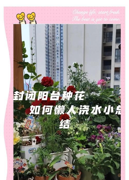 浇花的最佳时间是什么时候？
