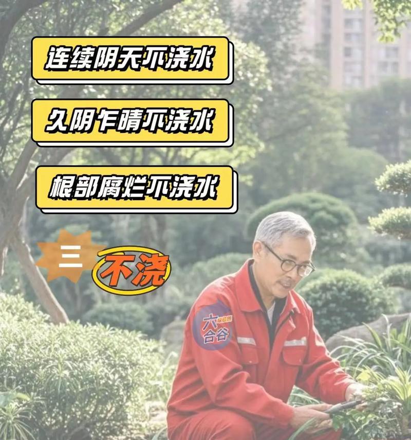 浇花的最佳时间是什么时候？