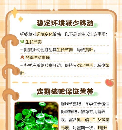铜钱草叶子小是缺什么营养吗？如何解决？