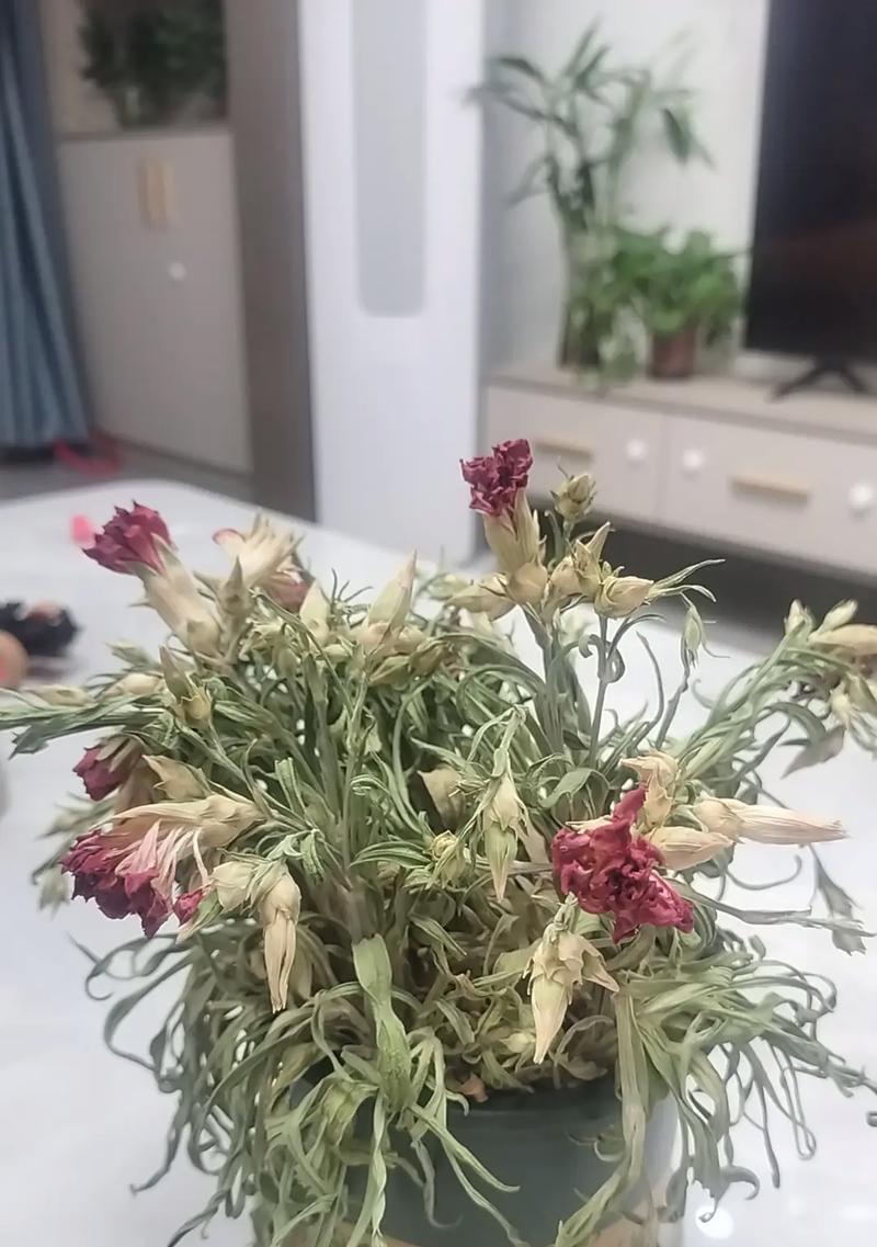 花蔫了怎么救活？蔫花复活的秘诀是什么？