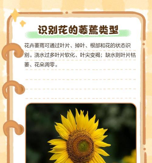 花蔫了怎么救活？蔫花复活的秘诀是什么？