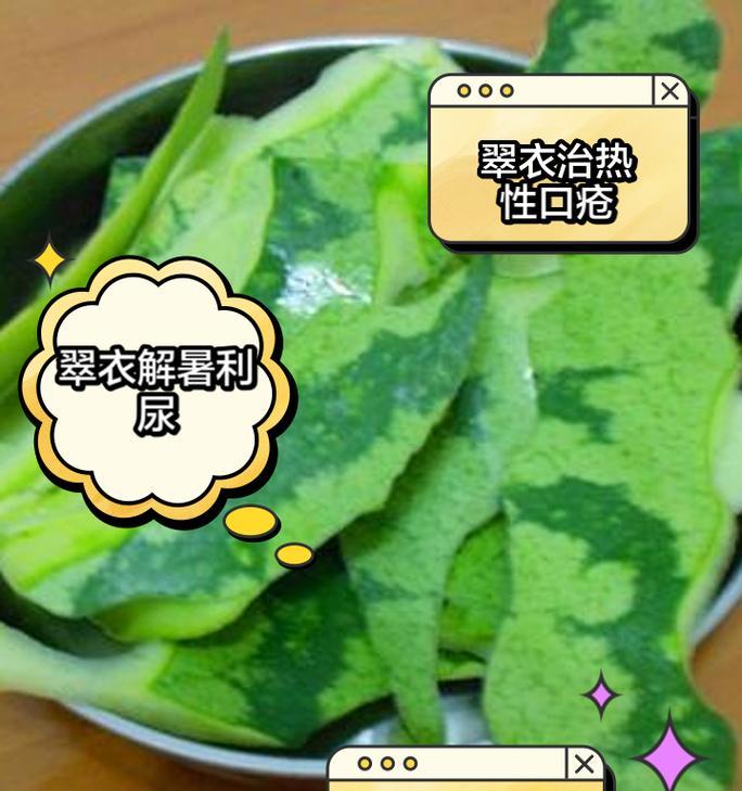 西瓜花语及其功效特点有哪些？