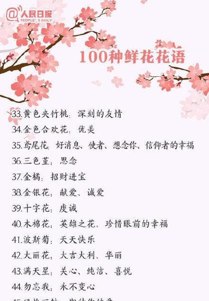植物花朵通常表达什么花语？