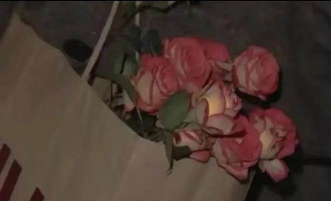 阿秀的玫瑰代表什么？花语有何寓意？