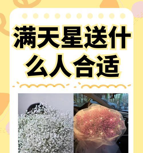阿秀的玫瑰代表什么？花语有何寓意？
