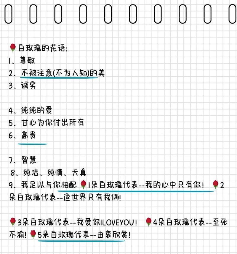 白玫瑰的花语为何吸引你？