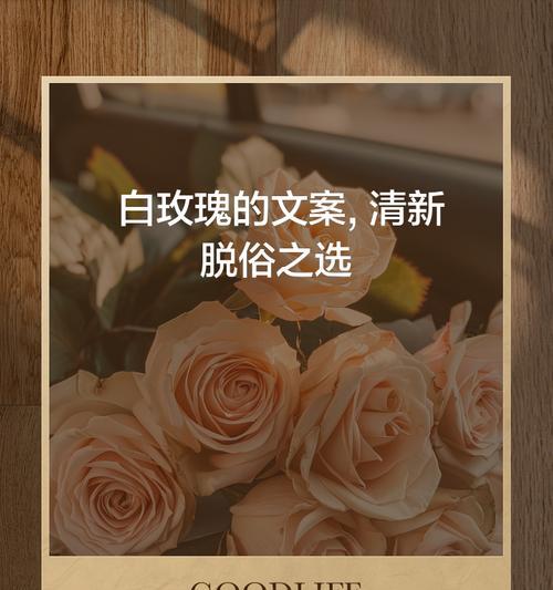 白玫瑰的花语为何吸引你？