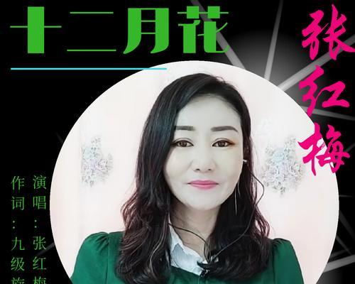 十二月十三日的生日花语是什么？