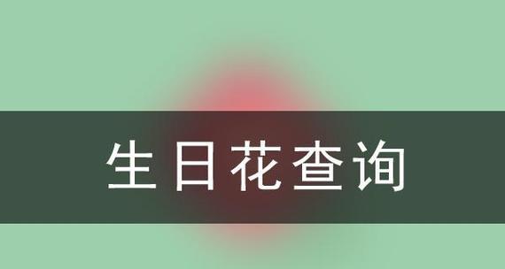十二月十三日的生日花语是什么？