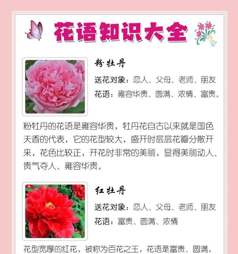 芙蓉花语代表什么？在送花时如何正确表达？