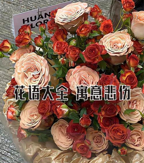 芙蓉花语代表什么？在送花时如何正确表达？