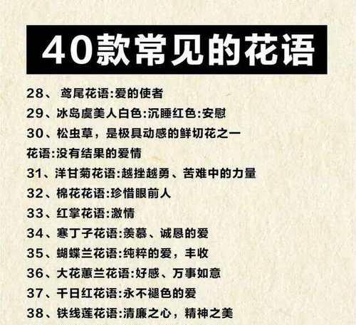 哪种花语代表真诚而坚定的爱情？