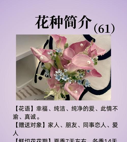 哪种花语代表真诚而坚定的爱情？