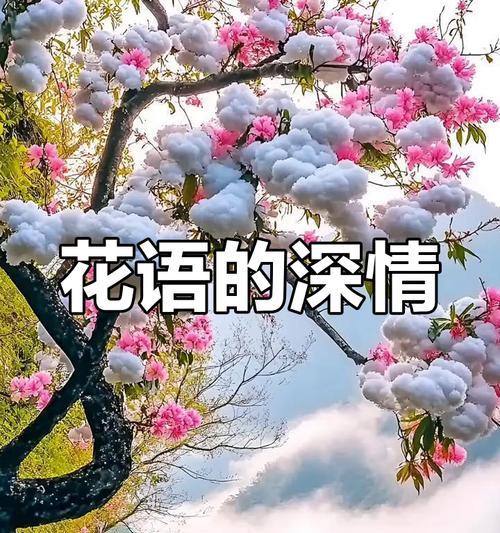 满目皆是你的花语能表达怎样的深情？