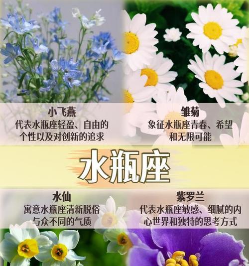 哪种花的花语代表着美好？
