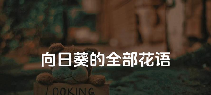 向日葵的花语代表什么？阳光向日葵花语有何深意？