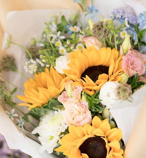 向日葵的花语代表什么？阳光向日葵花语有何深意？