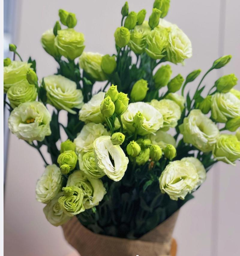 洋桔梗绿色花语代表什么？