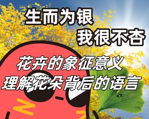 如何用花语卡片表达爱意？
