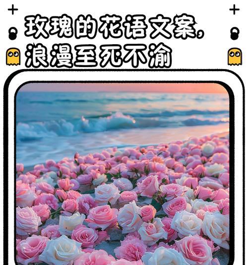 女生间浪漫的花语有哪些？