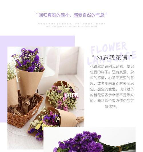 勿忘我花语有何深意？勿忘我的花语代表什么？