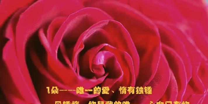 搞笑段子背后隐藏的花语是什么？
