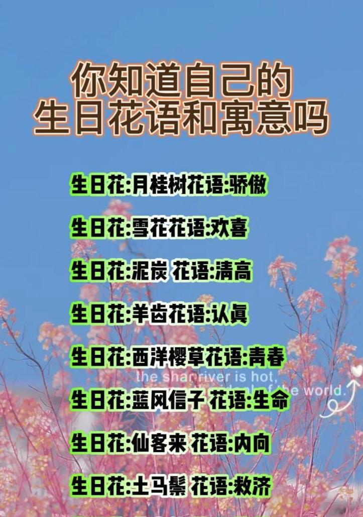 你的生日花语是什么？如何根据生日找到对应的花语？