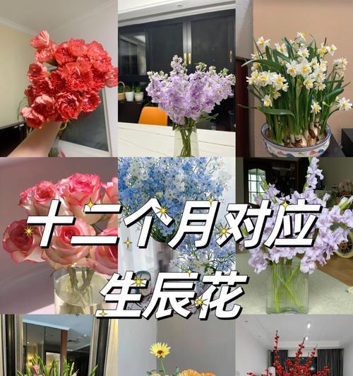 你的生日花语是什么？如何根据生日找到对应的花语？