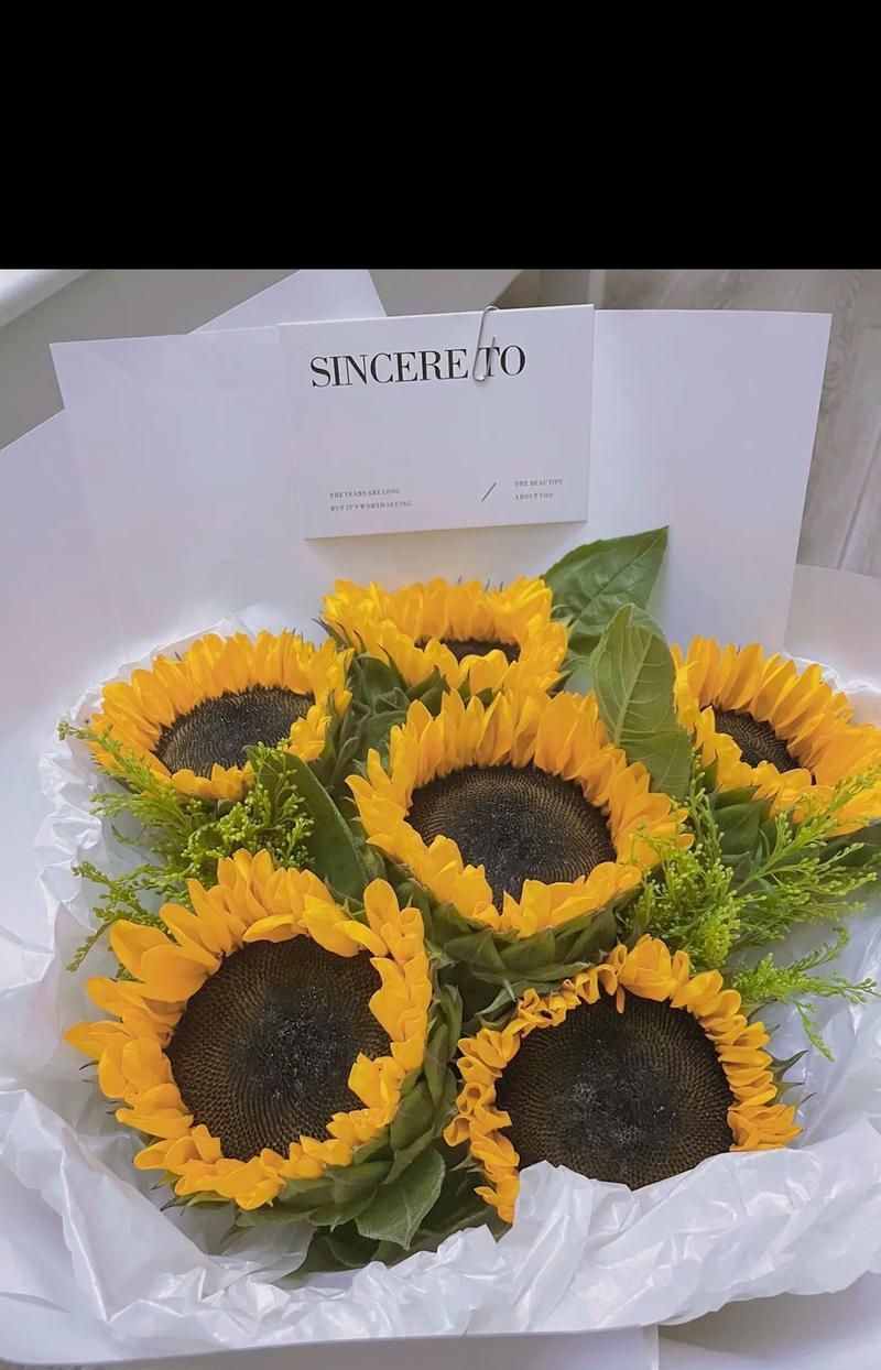 烂橘子这一形象的花语有何解释？