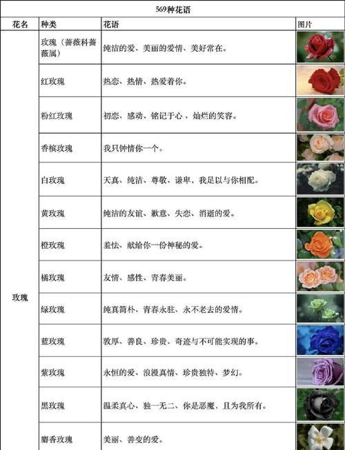 花树的寓意大全有哪些？它们的花语分别是什么？