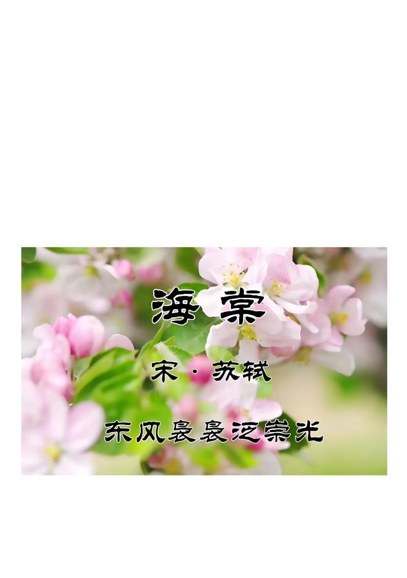 海棠的花语和寓意是什么？如何用海棠花表达特定的情感？