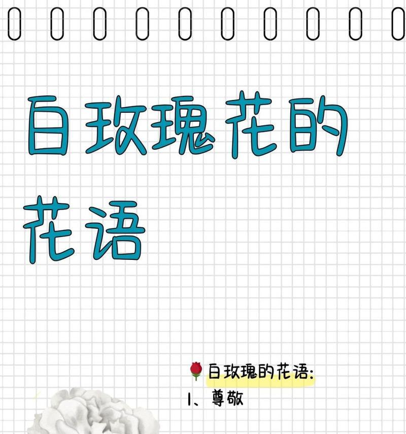 神秘玫瑰的花语代表哪种花？