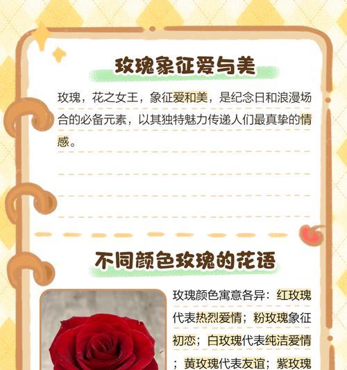 神秘玫瑰的花语代表哪种花？