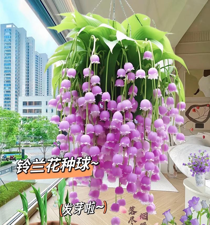 开玩笑时选择哪种花作为花语？