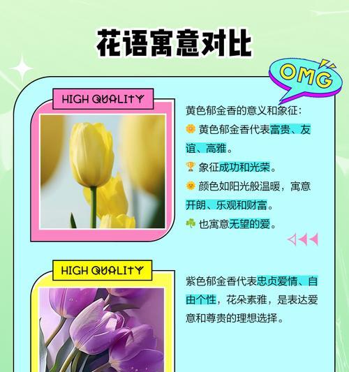 紫色郁金香的花语代表什么？含义是什么？