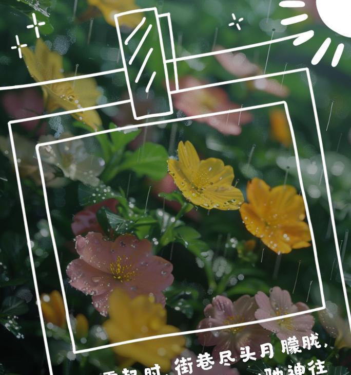 雾中雏菊的花语有何特别之处？