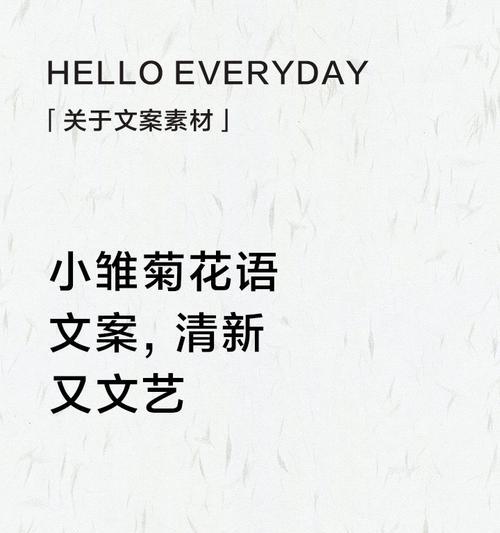雾中雏菊的花语有何特别之处？