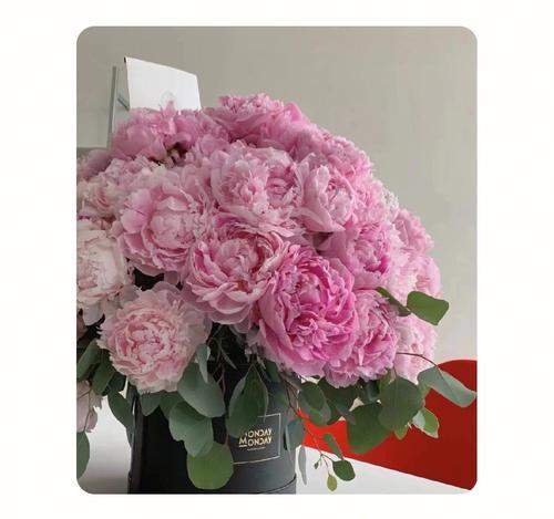 粉色花语四件套是什么？粉色花语套装包含哪些内容？