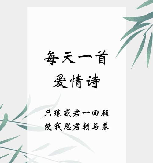 我似晨星君似月花语是什么？这句话的含义是什么？